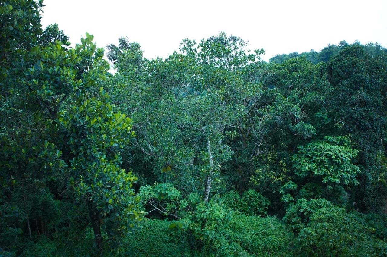 Lamond Holidays Munnar Buitenkant foto